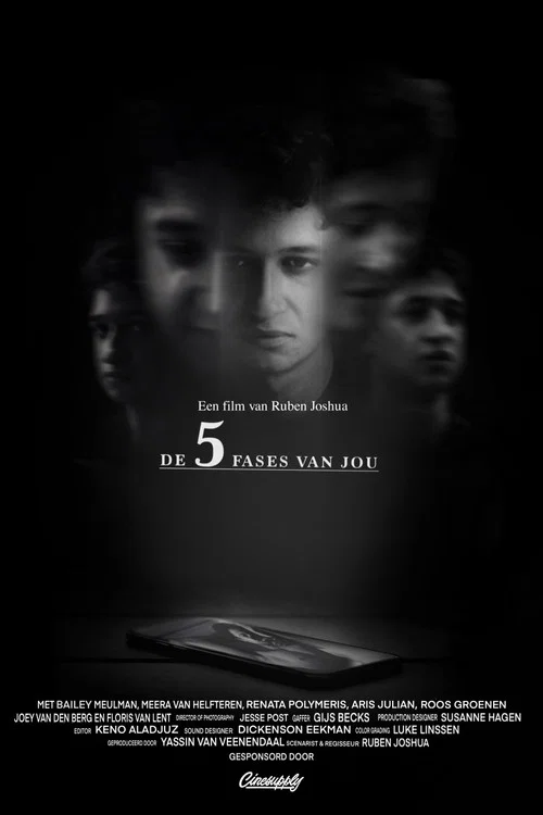 De Vijf Fases Van Jou постер