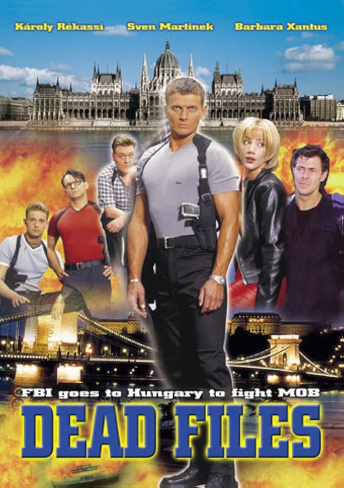 Rendőrsztori постер