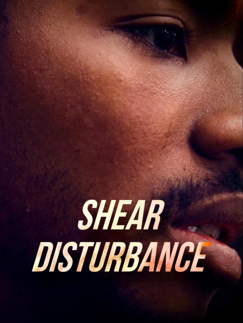 Shear Disturbance постер