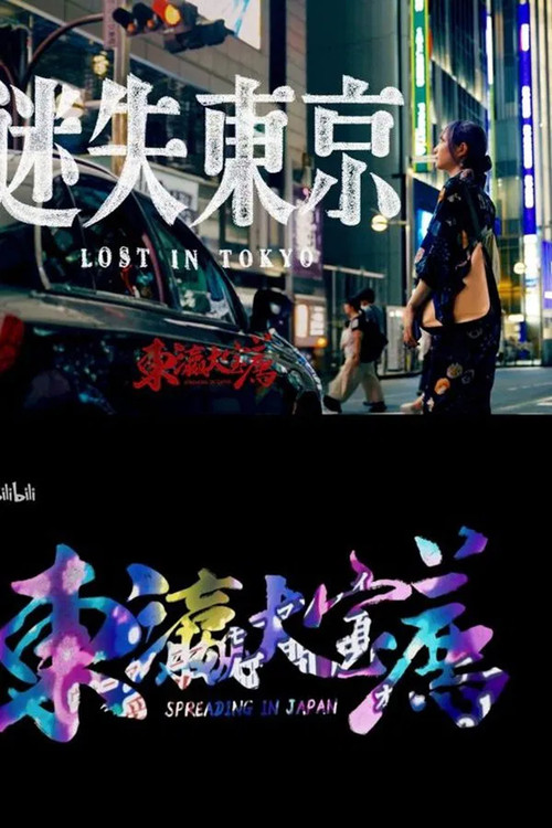 东瀛大宝荐：迷失东京 постер
