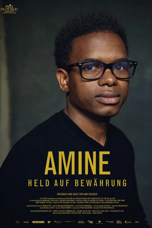Amine – Held auf Bewährung постер