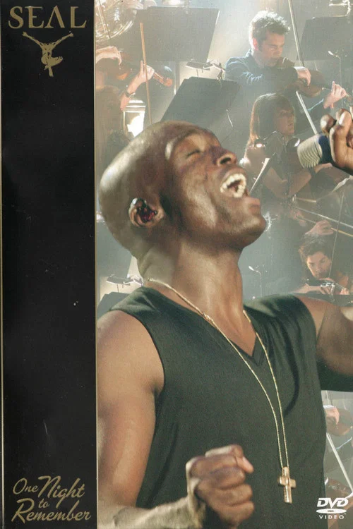 Seal: One Night To Remember постер
