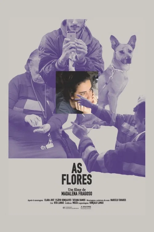 As Flores постер