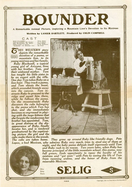 Bounder постер