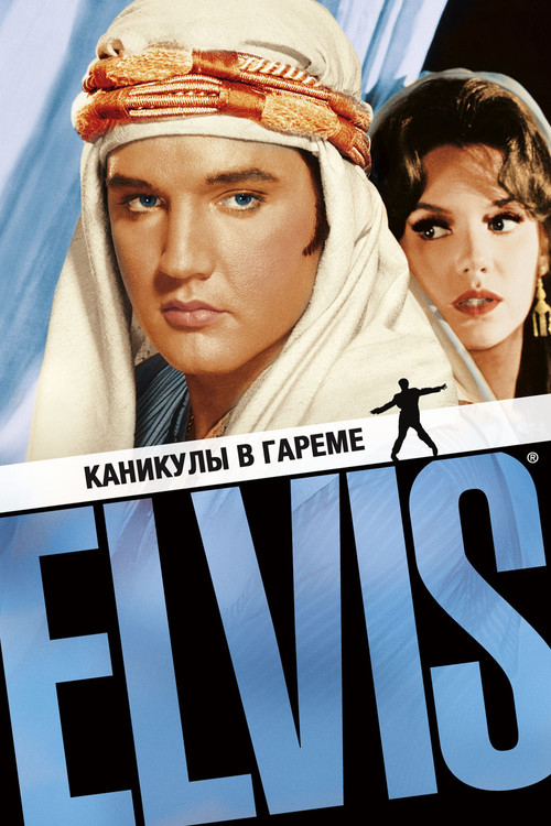 Каникулы в Гареме постер