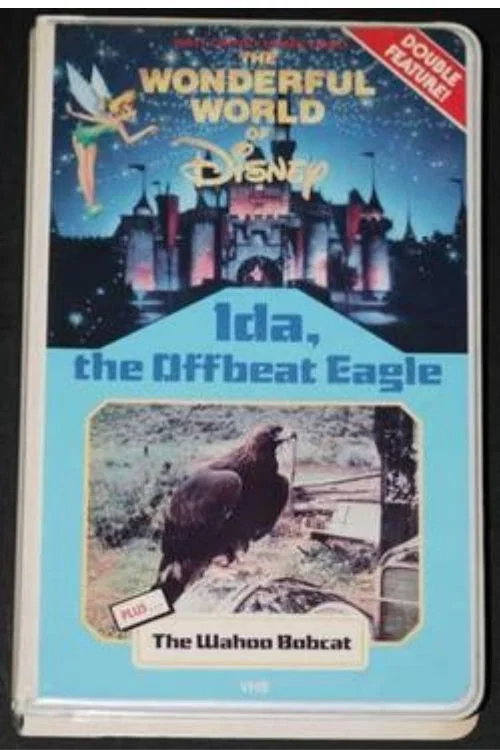 Ida, the Offbeat Eagle постер
