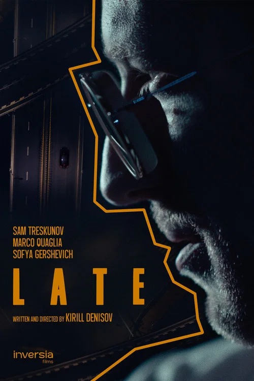 Late постер