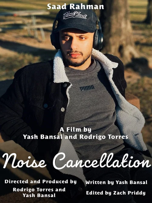 Noise Cancellation постер