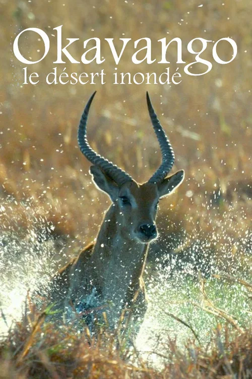 Kalahari: The Flooded Desert постер