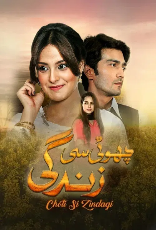 چھوٹی سی زندگی‎ постер