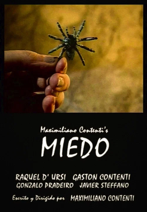 Miedo постер