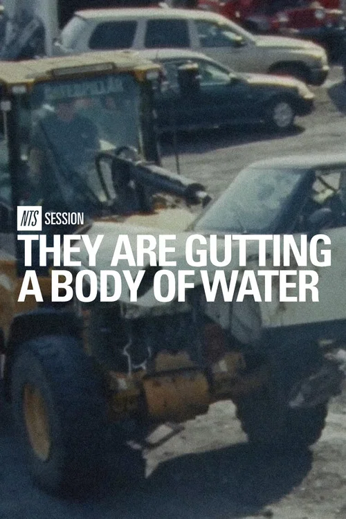 they are gutting a body of water | NTS Session постер