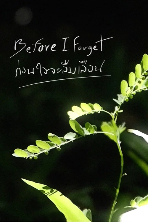 Before I Forget постер