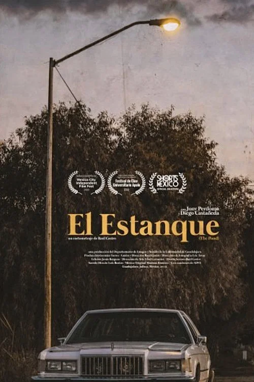 El Estanque постер