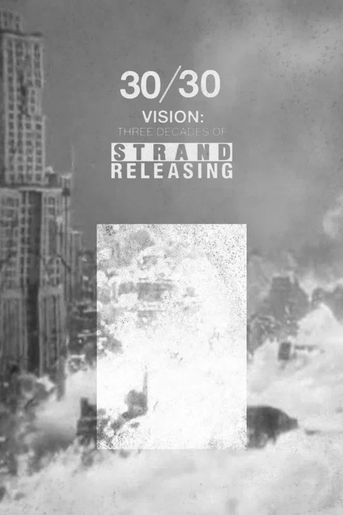 30/30 Vision: Three Decades of Strand Releasing постер