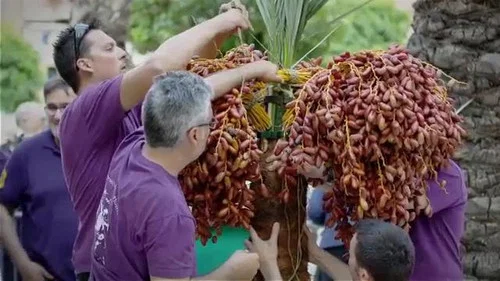 Эпизод 12