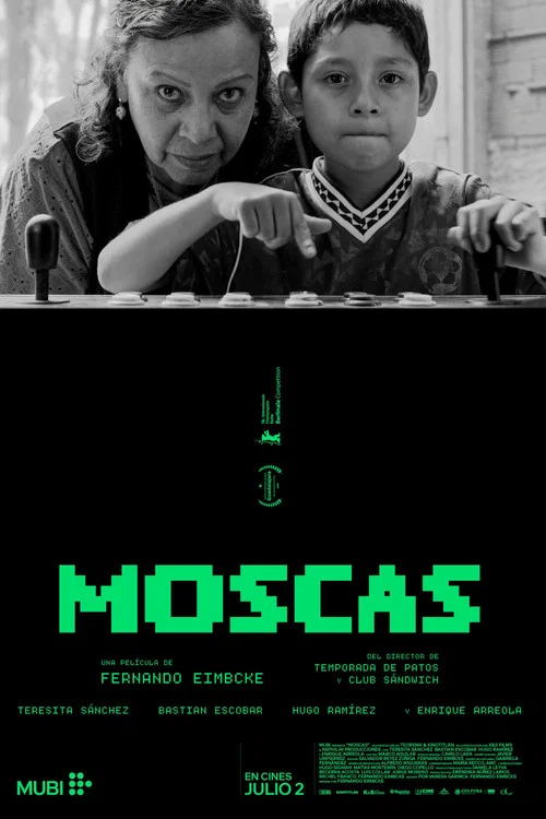 Moscas постер