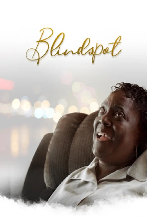Blindspot постер
