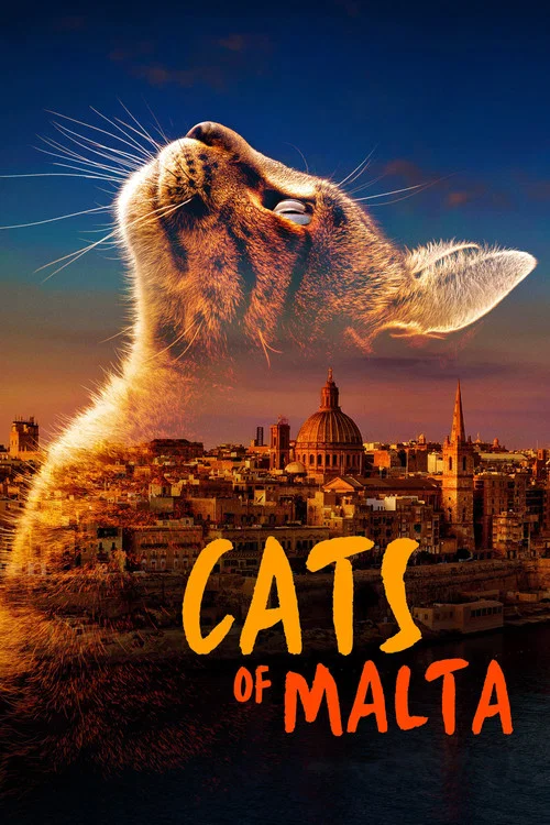 Cats of Malta постер