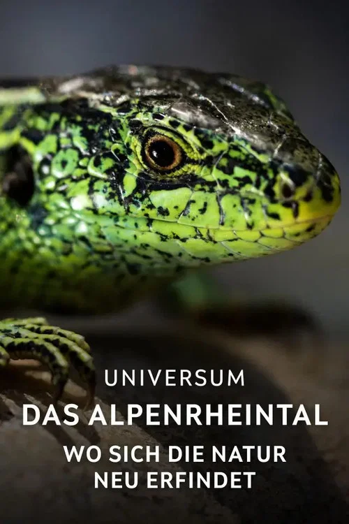 Das Alpenrheintal – Wo sich die Natur neu erfindet постер