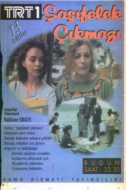 Şaşıfelek Çıkmazı постер