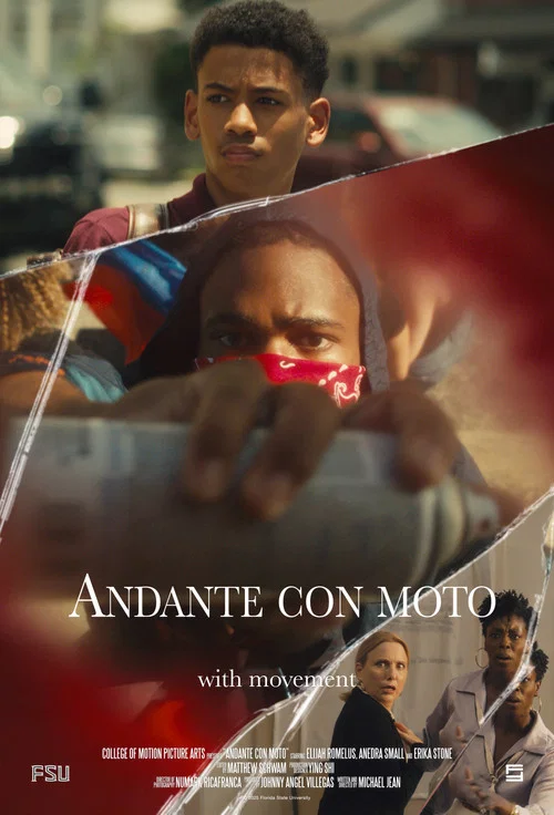 Andante con moto постер