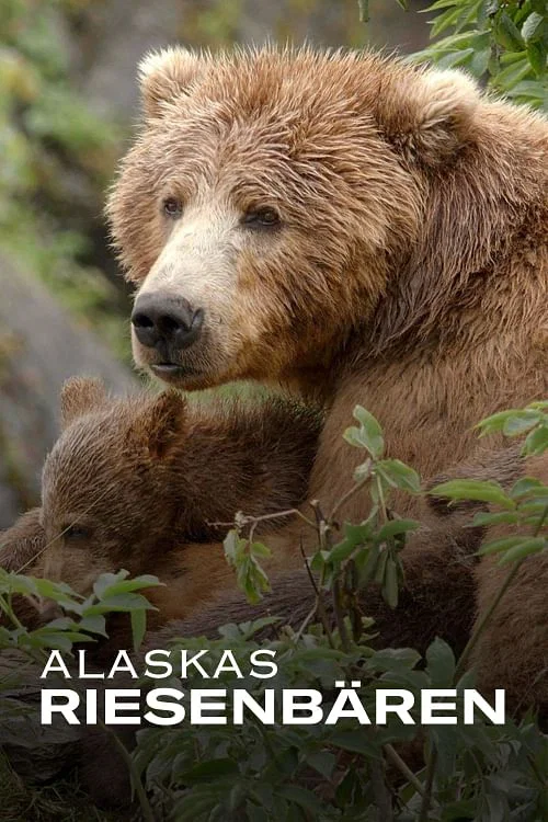 Alaskas Riesenbären постер