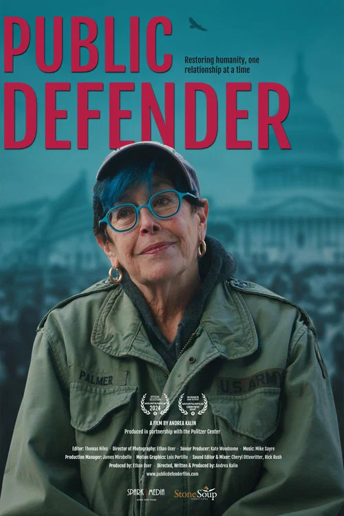 Public Defender постер
