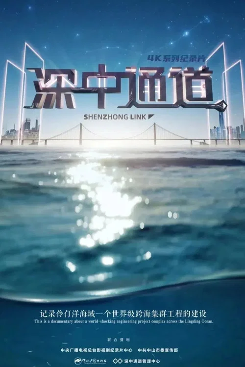 深中通道 постер