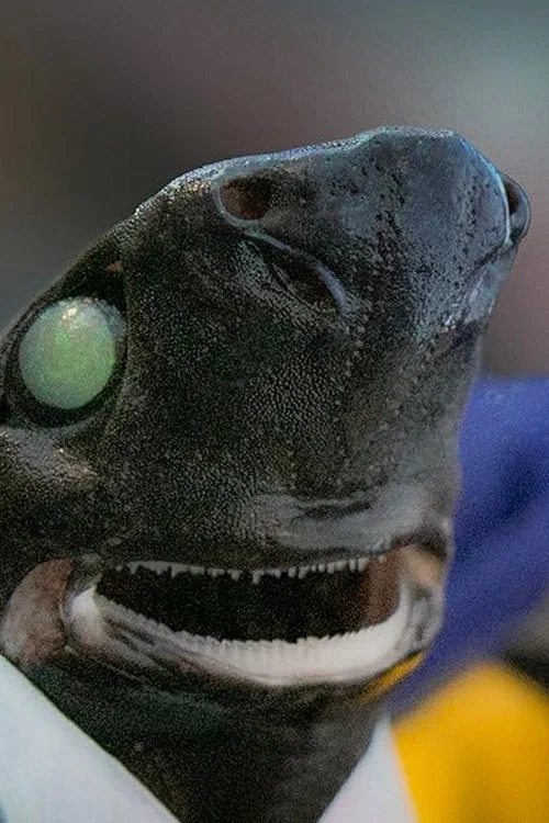 Alien Sharks: Return To The Abyss постер