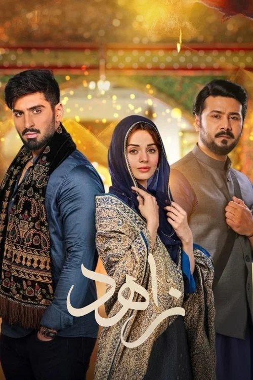 Qalandar постер