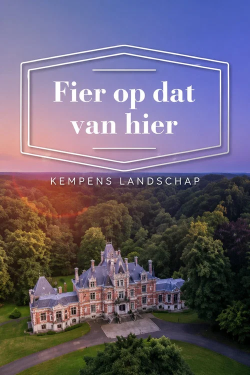 Fier op dat van hier постер