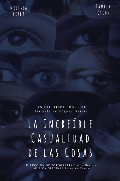 La Increíble Casualidad de las Cosas постер