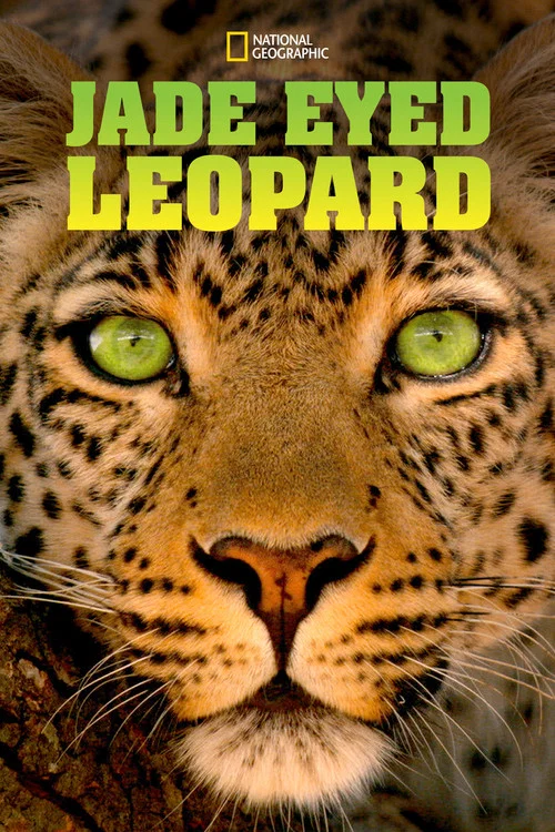 Jade Eyed Leopard постер