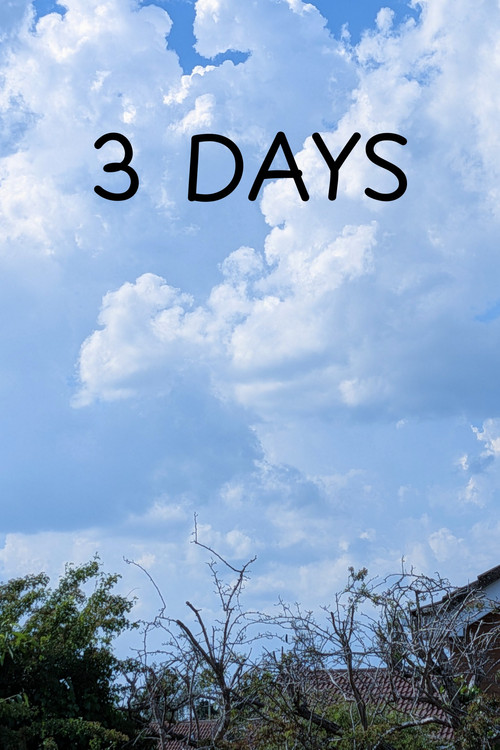 3 DAYS постер