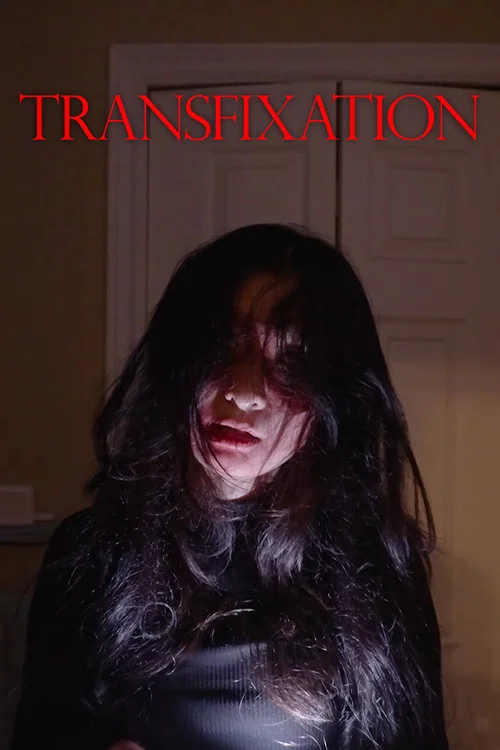 Transfixation постер