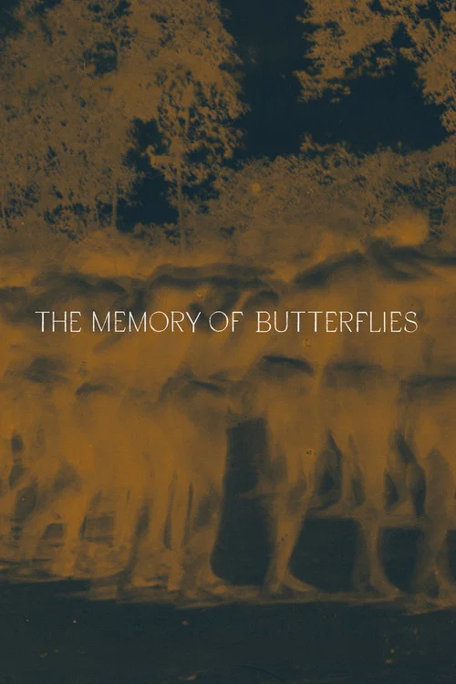 La memoria de las mariposas постер