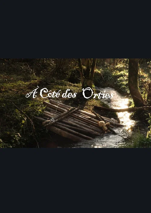 A côté des orties постер