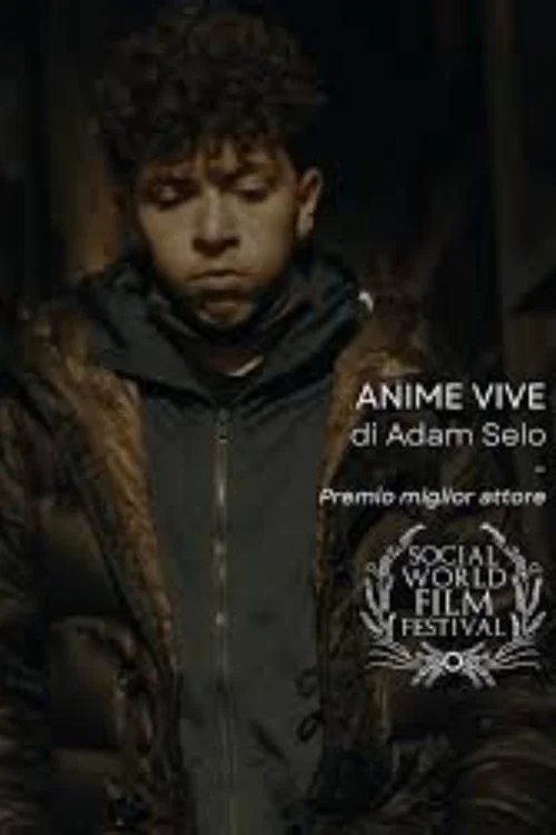 Anime Vive постер