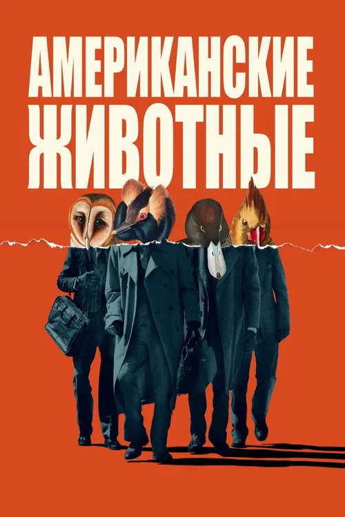 Американские животные постер