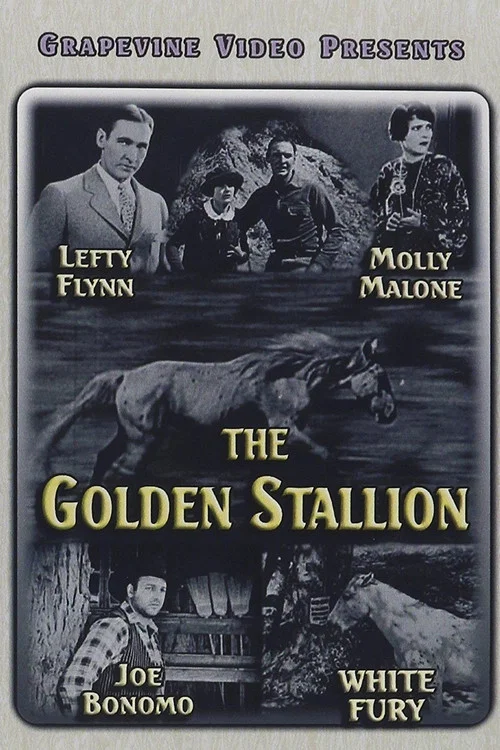 The Golden Stallion постер