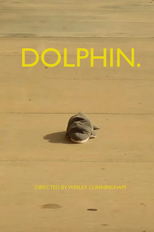 dolphin. постер