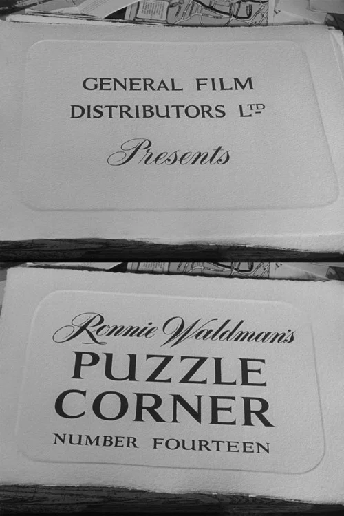 Puzzle Corner Number Fourteen постер