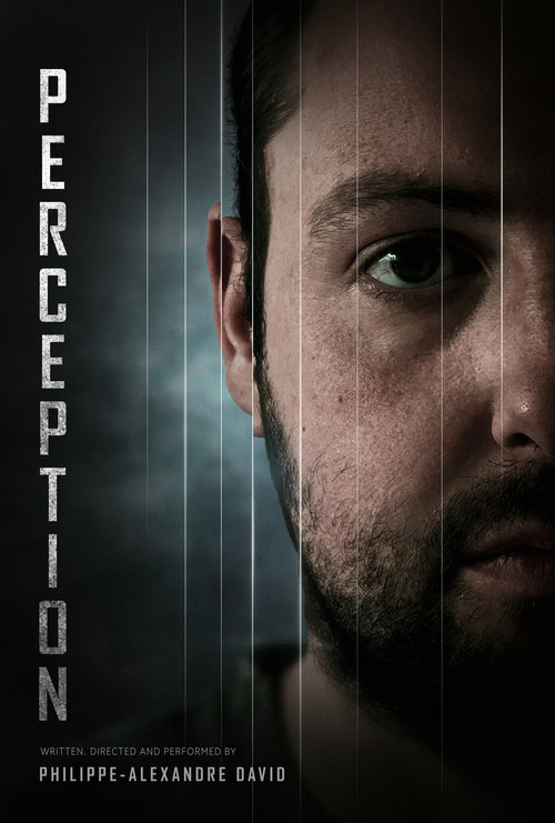 Perception постер