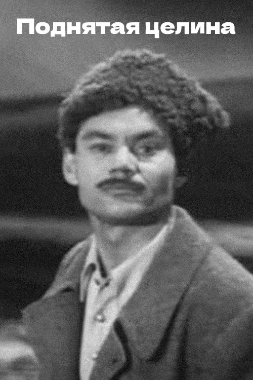 Поднятая целина постер