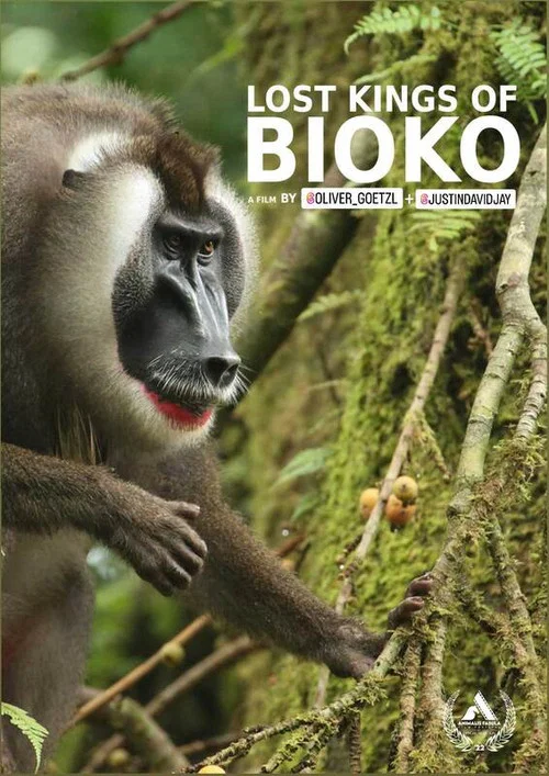Lost Kings of Bioko постер