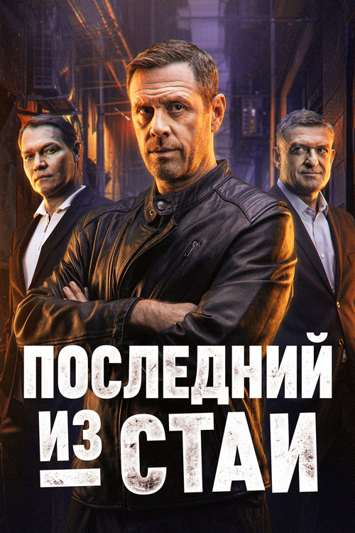 Последний из стаи постер