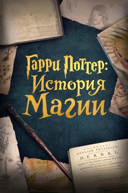Гарри Поттер: История магии постер