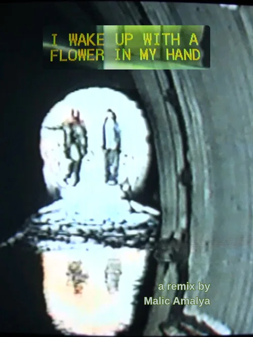 I Wake Up With a Flower in My Hand постер