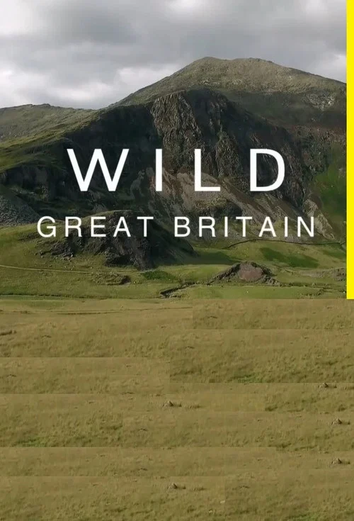 Wild Great Britain постер